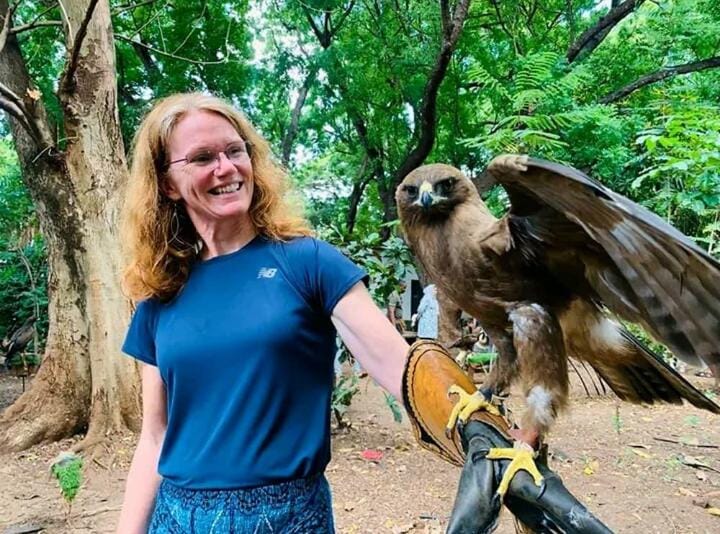 Falconry
